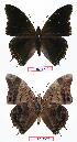  ( - BC-EV0741)  @13 [ ] Unspecified (default): All Rights Reserved  Unspecified Unspecified
