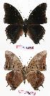  ( - BC-EV0751)  @13 [ ] Unspecified (default): All Rights Reserved  Unspecified Unspecified