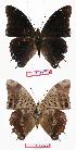  ( - BC-EV0752)  @13 [ ] Unspecified (default): All Rights Reserved  Unspecified Unspecified