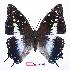  ( - BC-EV0761)  @14 [ ] Unspecified (default): All Rights Reserved  Unspecified Unspecified