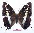  ( - BC-EV0763)  @14 [ ] Unspecified (default): All Rights Reserved  Unspecified Unspecified
