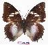  ( - BC-EV0787)  @13 [ ] Unspecified (default): All Rights Reserved  Unspecified Unspecified