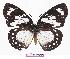  ( - BC-EV0797)  @14 [ ] Unspecified (default): All Rights Reserved  Unspecified Unspecified