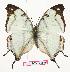  ( - BC-EV0878)  @14 [ ] Unspecified (default): All Rights Reserved  Unspecified Unspecified