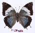  ( - BC-EV0943)  @14 [ ] Unspecified (default): All Rights Reserved  Unspecified Unspecified