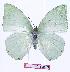  ( - BC-EV0979)  @14 [ ] Unspecified (default): All Rights Reserved  Unspecified Unspecified