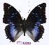  ( - BC-EV0992)  @12 [ ] Unspecified (default): All Rights Reserved  Unspecified Unspecified