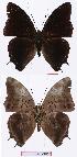  ( - BC-EV1017)  @13 [ ] Unspecified (default): All Rights Reserved  Unspecified Unspecified