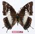  ( - BC-EV1020)  @13 [ ] Unspecified (default): All Rights Reserved  Unspecified Unspecified