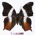 ( - BC-EV1043)  @13 [ ] Unspecified (default): All Rights Reserved  Unspecified Unspecified