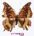  ( - BC-EV1047)  @13 [ ] Unspecified (default): All Rights Reserved  Unspecified Unspecified
