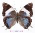  ( - BC-EV1071)  @14 [ ] Unspecified (default): All Rights Reserved  Unspecified Unspecified