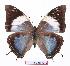  ( - BC-EV1072)  @14 [ ] Unspecified (default): All Rights Reserved  Unspecified Unspecified