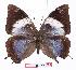  ( - BC-EV1073)  @14 [ ] Unspecified (default): All Rights Reserved  Unspecified Unspecified
