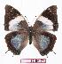  ( - BC-EV1074)  @14 [ ] Unspecified (default): All Rights Reserved  Unspecified Unspecified