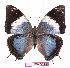  ( - BC-EV1076)  @14 [ ] Unspecified (default): All Rights Reserved  Unspecified Unspecified