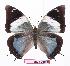  ( - BC-EV1078)  @14 [ ] Unspecified (default): All Rights Reserved  Unspecified Unspecified