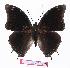  ( - BC-EV1079)  @14 [ ] Unspecified (default): All Rights Reserved  Unspecified Unspecified
