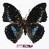  ( - BC-EV1093)  @13 [ ] Unspecified (default): All Rights Reserved  Unspecified Unspecified