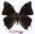  ( - BC-EV1107)  @14 [ ] Unspecified (default): All Rights Reserved  Unspecified Unspecified
