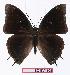  ( - BC-EV1108)  @14 [ ] Unspecified (default): All Rights Reserved  Unspecified Unspecified