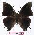  ( - BC-EV1109)  @14 [ ] Unspecified (default): All Rights Reserved  Unspecified Unspecified