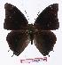  ( - BC-EV1112)  @14 [ ] Unspecified (default): All Rights Reserved  Unspecified Unspecified