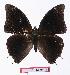  ( - BC-EV1113)  @14 [ ] Unspecified (default): All Rights Reserved  Unspecified Unspecified