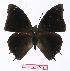  ( - BC-EV1115)  @14 [ ] Unspecified (default): All Rights Reserved  Unspecified Unspecified