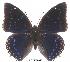 ( - BC-EV0013)  @14 [ ] Unspecified (default): All Rights Reserved  Unspecified Unspecified