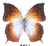  ( - BC-EV0015)  @14 [ ] Unspecified (default): All Rights Reserved  Unspecified Unspecified