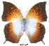  ( - BC-EV0025)  @14 [ ] Unspecified (default): All Rights Reserved  Unspecified Unspecified
