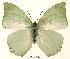  ( - BC-EV0034)  @14 [ ] Unspecified (default): All Rights Reserved  Unspecified Unspecified