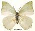  ( - BC-EV0039)  @13 [ ] Unspecified (default): All Rights Reserved  Unspecified Unspecified