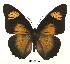  ( - BC-EV0066)  @14 [ ] Unspecified (default): All Rights Reserved  Unspecified Unspecified