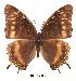  ( - BC-EV0073)  @14 [ ] Unspecified (default): All Rights Reserved  Unspecified Unspecified
