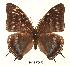  ( - BC-EV0077)  @14 [ ] Unspecified (default): All Rights Reserved  Unspecified Unspecified