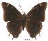  ( - BC-EV0083)  @14 [ ] Unspecified (default): All Rights Reserved  Unspecified Unspecified