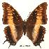 ( - BC-EV0086)  @14 [ ] Unspecified (default): All Rights Reserved  Unspecified Unspecified