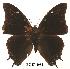  ( - BC-EV0088)  @13 [ ] Unspecified (default): All Rights Reserved  Unspecified Unspecified