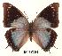  ( - BC-EV0092)  @14 [ ] Unspecified (default): All Rights Reserved  Unspecified Unspecified