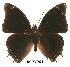  ( - BC-EV0094)  @13 [ ] Unspecified (default): All Rights Reserved  Unspecified Unspecified