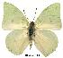  ( - BC-EV0113)  @14 [ ] Unspecified (default): All Rights Reserved  Unspecified Unspecified