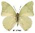  ( - BC-EV0123)  @14 [ ] Unspecified (default): All Rights Reserved  Unspecified Unspecified