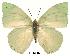  ( - BC-EV0127)  @14 [ ] Unspecified (default): All Rights Reserved  Unspecified Unspecified