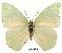  ( - BC-EV0128)  @13 [ ] Unspecified (default): All Rights Reserved  Unspecified Unspecified