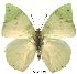  ( - BC-EV0129)  @14 [ ] Unspecified (default): All Rights Reserved  Unspecified Unspecified