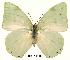  ( - BC-EV0131)  @14 [ ] Unspecified (default): All Rights Reserved  Unspecified Unspecified
