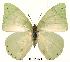  ( - BC-EV0132)  @14 [ ] Unspecified (default): All Rights Reserved  Unspecified Unspecified