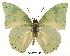  ( - BC-EV0133)  @14 [ ] Unspecified (default): All Rights Reserved  Unspecified Unspecified